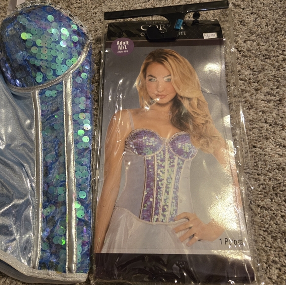 NWT Glistening Corset - Picture 5 of 7